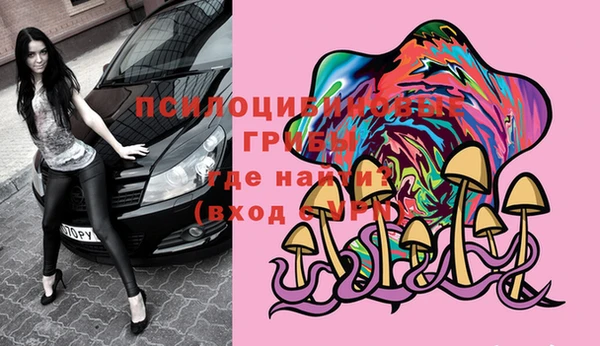 сатива Белоозёрский