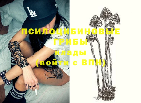 jwh Белокуриха