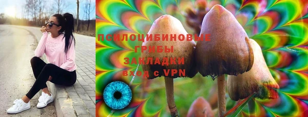 jwh Белокуриха