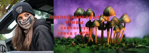 ECSTASY Беломорск